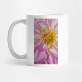 closeup macro photography of dahlia bloom in shades of pink and white coloured Mug